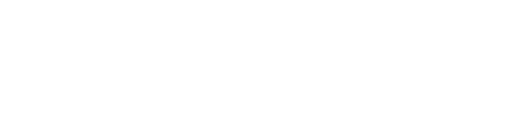 Sgebiz Logo White